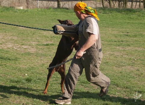 Training 4. 4. 2007